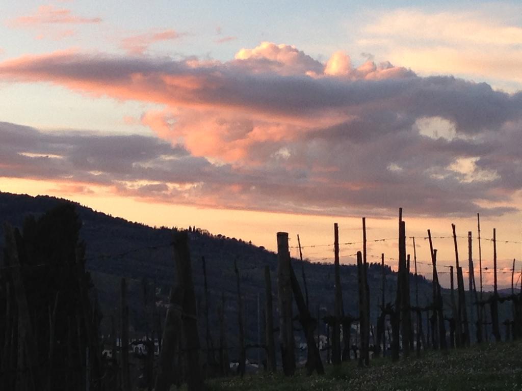 Casale Le Masse Greve in Chianti Exterior photo