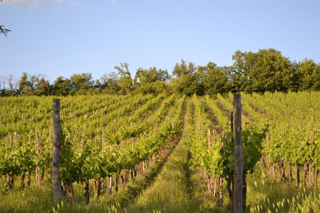 Casale Le Masse Greve in Chianti Exterior photo
